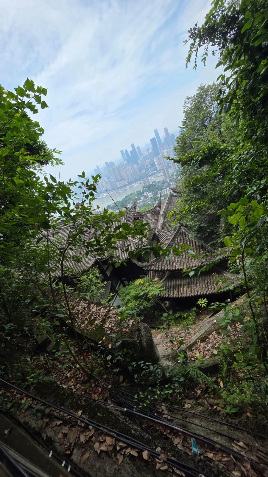 Terra di Siena International Film Festival in Cina